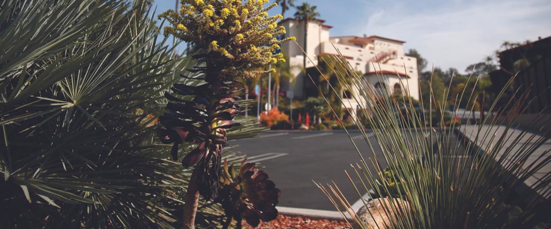 Finest Private Schools in Brentwood CA