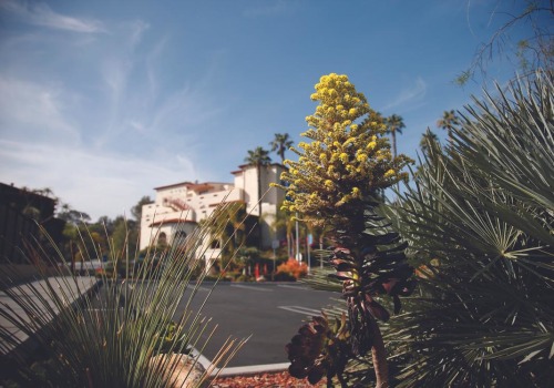 Finest Private Schools in Brentwood CA