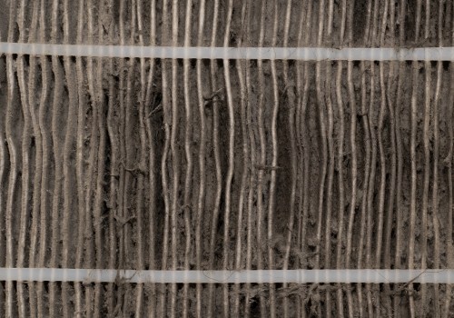 Potential Problems If You Ignore Air Filter Replacement